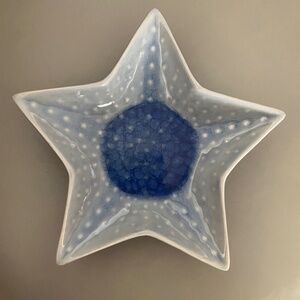 Pier 1 Stoneware Blue Star Shaped Crackle Fused Glass Trinket Dish Bowl 8" Wide